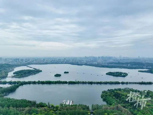 浙江省气象台，风雨守望者，护航浙里安澜