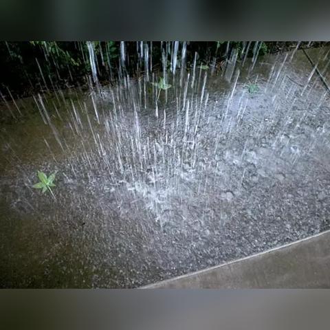 武汉天气30天预报，精准掌握未来一个月的晴雨冷暖
