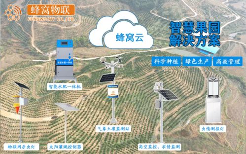 一张图看遍中国冷暖,全国温度实时监测图背后的气象智慧 一张图看遍中国冷暖,全国温度实时监测图背后的气象智慧