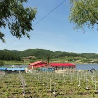 七台河天气预报一周,气温波动明显,注意防寒保暖 七台河天气预报一周,气温波动明显,注意防寒保暖