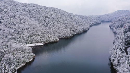 银装素裹的实时画卷,降雪图监测下的冬日奇观 银装素裹的实时画卷,降雪图监测下的冬日奇观