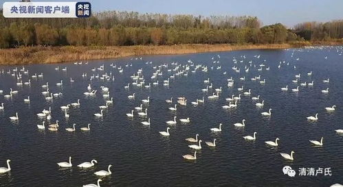 滨州天气，黄河岸边的四季变奏曲