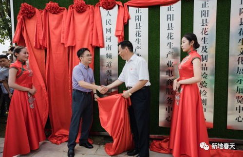 安徽合肥天气，四季流转中的温婉与热烈